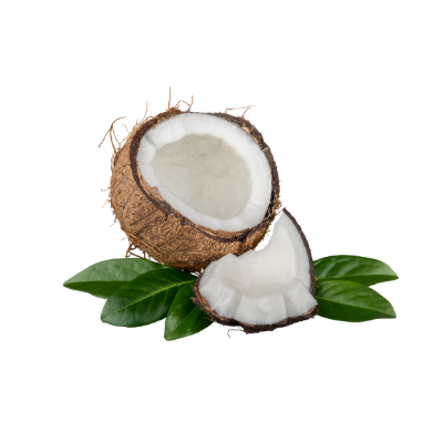 kokosnöt
